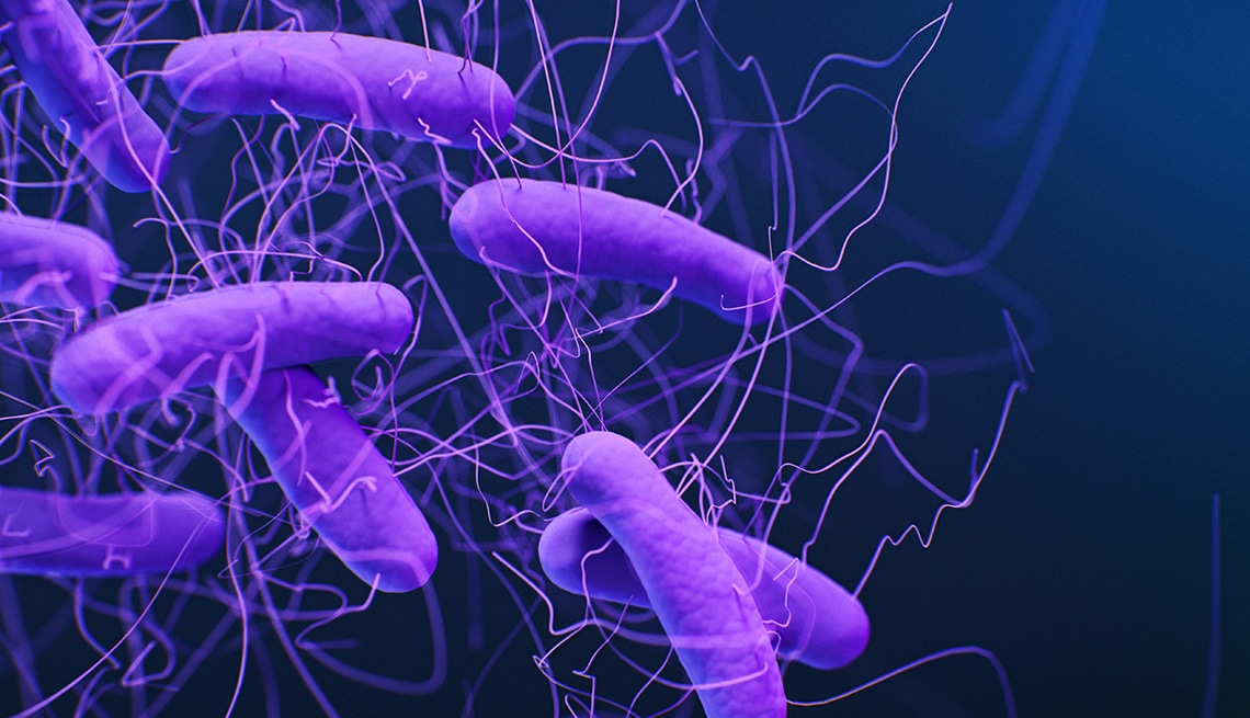 1140 clostridioides difficile bacteria esp